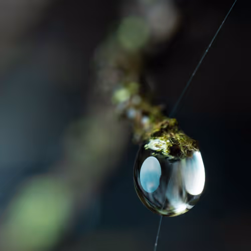 Item #59259199848972023857732761646304634361280699770576024418514166888276399489025 Media