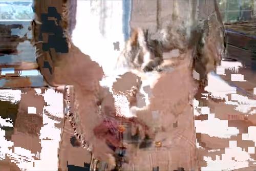 Item #27175538774817670301981119189846699523933914292239667168195015542255378235393 Media