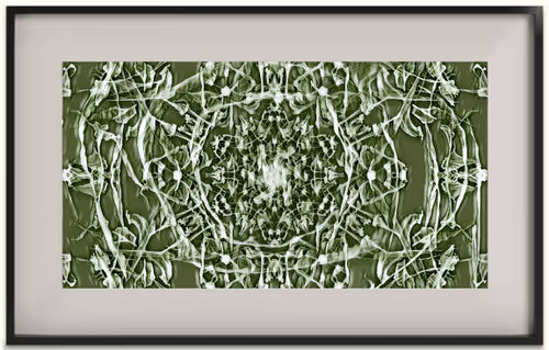 Item #53038436591932579343586172736499089180511311350926828846712650157938582749185 Media