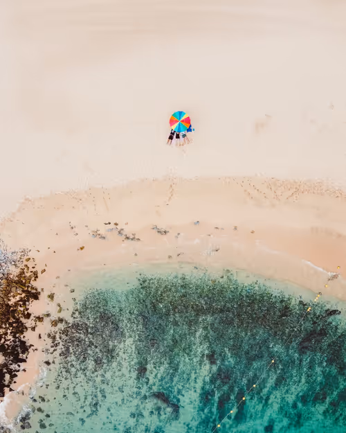 Item #29172382768325496043411633586541907316731353616846050865957845305629861740545 Media