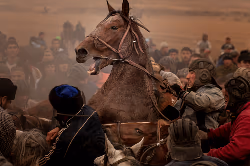 Item #33939089941984909223111222643957381714581324546191963363498296475645919625217 Media