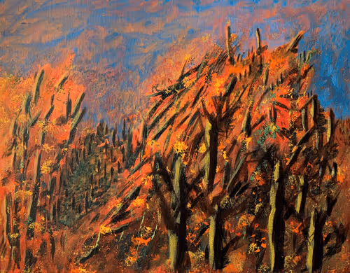 Item #72977426706242810669894756521037231380011402563300753549706877169832738947073 Media