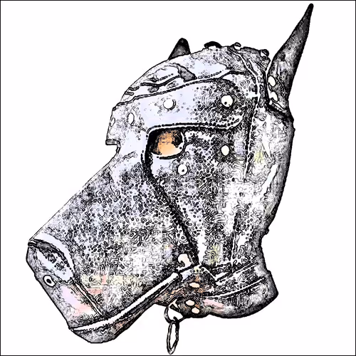 Item #4583203688154496710464576617550160289260541301864270714739251256028427190273 Media