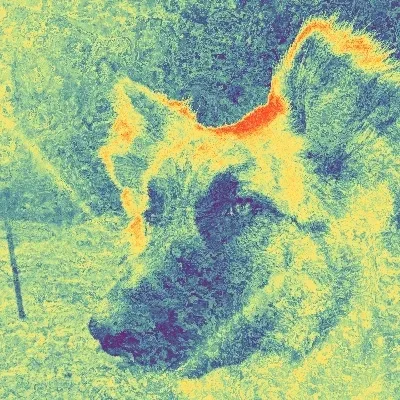 Item #47428341271170390733253974222101382154768714392453356712130950054605905461249 Media