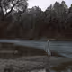 American Runaway