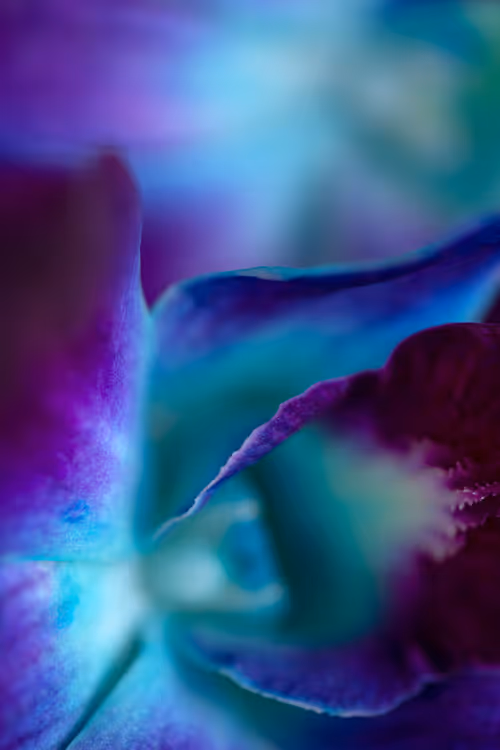 Item #24632583837492670092599633934589483131746797002802219579488358132739938975745 Media