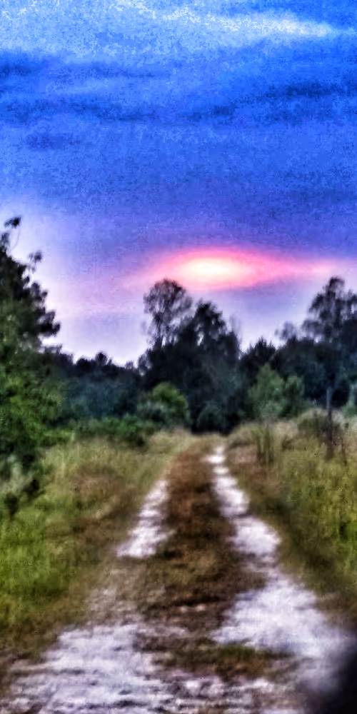 Item #7142574194470404243392590672179659391968725900228458481778768096842955620353 Media