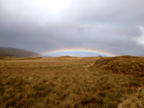 Item #25372994447545615556595153878681400140350305593099141563031706270462958895105 Media