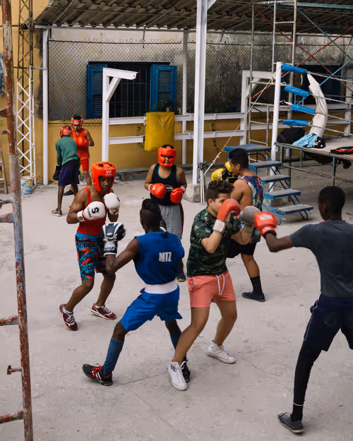 Item #114285376341305908741834511560959346099812467556521754016796399188606772576257 Media