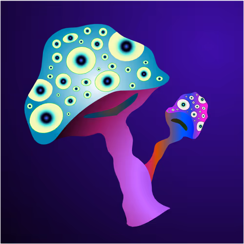 Item #69353682132584287921640915502496302946504347868100656215909837759563834589185 Media