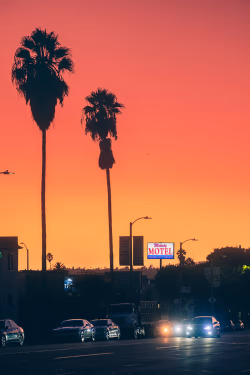 Item #35557780727049604459658880725917592814256363748111026780455796776095801409537 Media