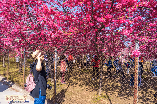 Item #100744422725674417057824683306763013505668843176654858816283483926334955061249 Media