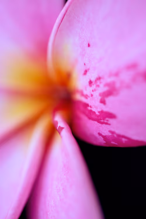 Item #24632583837492670092599633934589483131746797002802219579488358127242380836865 Media