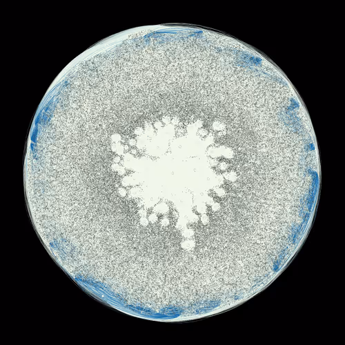 Item #8939162555813086481521450829509087054886920104376514321051358830075727314945 Media