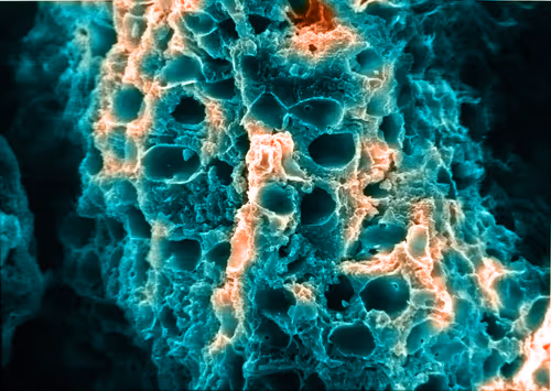 Item #115505927728344181025262329658899620468765138243295584093365708448477822844929 Media