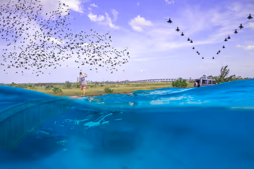 Item #31284746170765649912354147651283650676955838923957410308171566974902393110529 Media