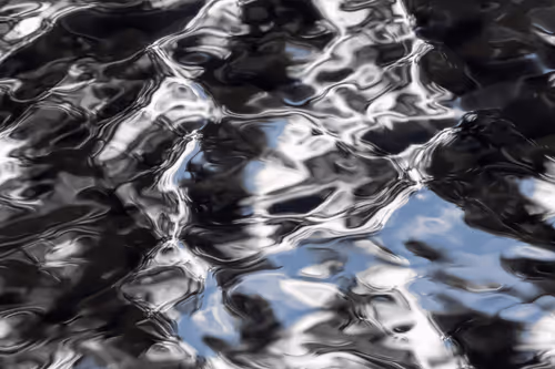 Item #81441334517361708208394031135700195474624799851237506988747108070051318595585 Media