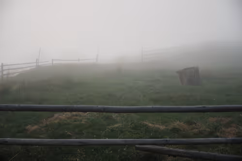 Item #105475816949175725597838668609224528502922702307421382918206128506711962550273 Media