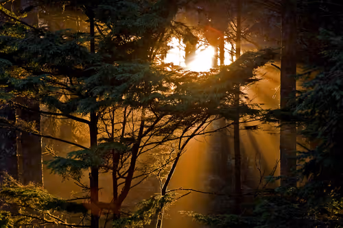 Item #35061641611689379192582426000643875559766385967615314722725717896561548066817 Media