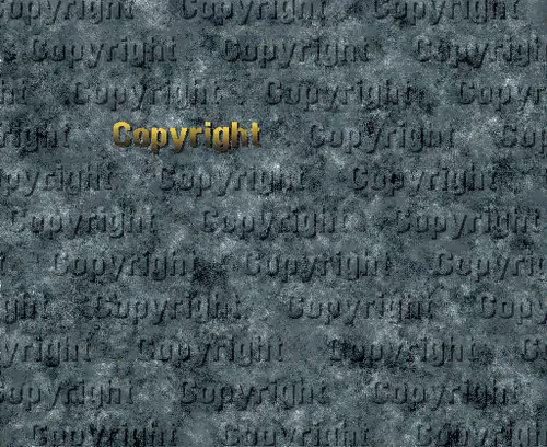Item #80166608668082721631180492354978057980375363955808112573101485796733837377537 Media