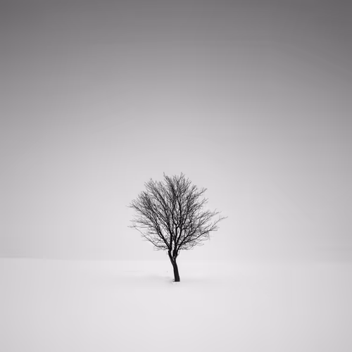 Item #101547054933813335062644925459541226737619958059144835271274916355327783862273 Media