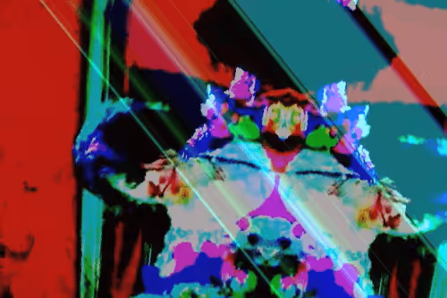 Item #34286699768185565968495272037167852201968450412898710793294814030553866567681 Media