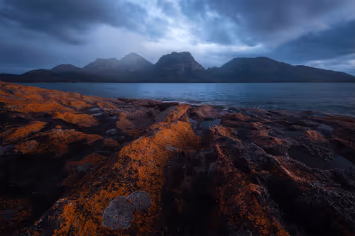 Item #112241139933589088795661151874445265147488650533013612432304602900131267739649 Media