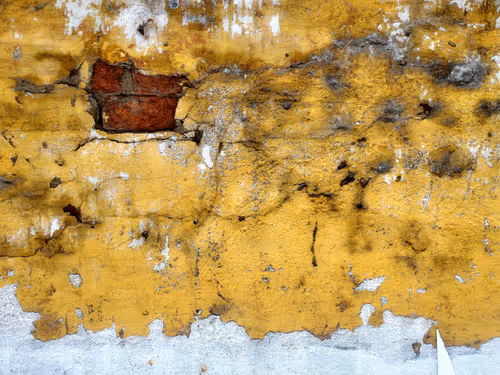 Item #77837778009088564188174628045169397065653229955612462896383264978022147555329 Media