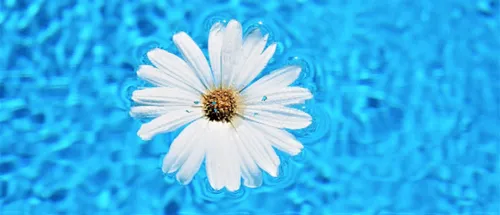 Item #31900271073354632832991890429912638653086322620126594410230774043611597111297 Media