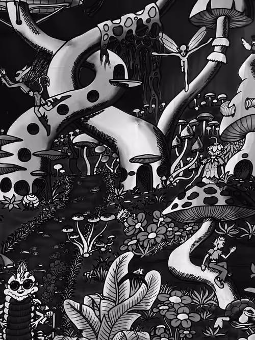 Item #30740302589079776519759082537500895011913059495583463667508883387956527628289 Media