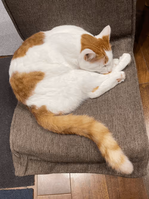 Item #57432309319676179700798702069366385585354272226932054472084542004607055822849 Media