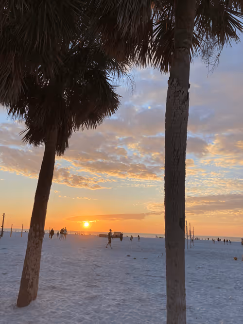 Item #107514593780522626782355902627925871455603649734183757659069085791402103668824 Media