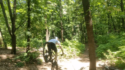 Item #42602188936332751126689195921772117794695800626097073962556397747139705307137 Media