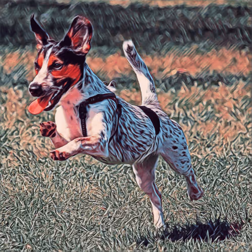 Item #51313302132644519913343847646347811445510524411913136629935893367808822607873 Media