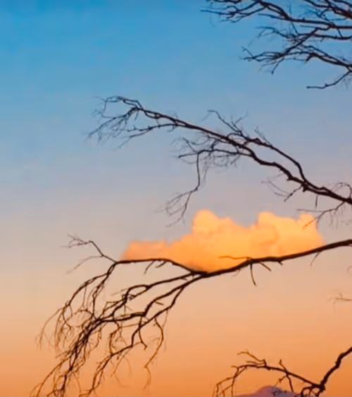 Item #89331172264520901734287168284061173238905607884529379441556441668461533331457 Media