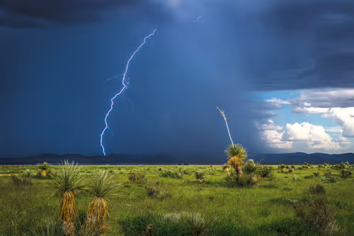 Item #95204431680649181601528738578851453896688564435428028381601595523927973560321 Media