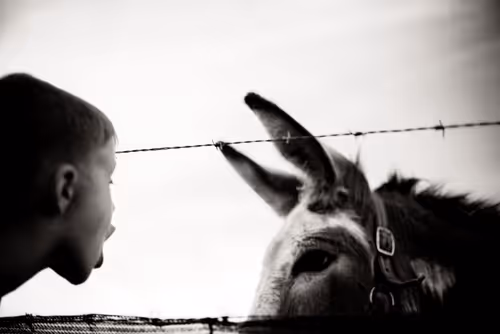 Item #107338736840495903892700830333162816701828415005499690242546380946192180707329 Media