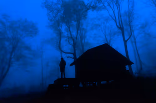 Item #27268559498061748325784621046965527840934976554079147599746578488048861839361 Media