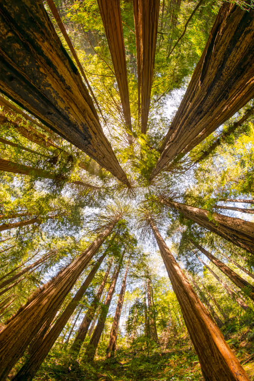 Item #82666956697073059935250471949023285858624698901330742305278420794297043386369 Media