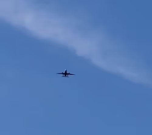 Item #33407413803945585371464114452290545466995741813754582875450421057107041189889 Media