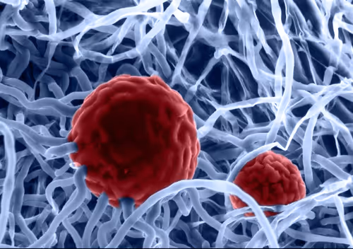 Item #115505927728344181025262329658899620468765138243295584093365708385805660061697 Media