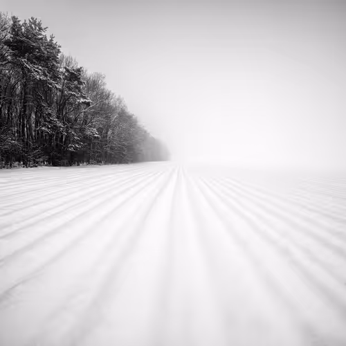 Item #101547054933813335062644925459541226737619958059144835271274916326740481540097 Media