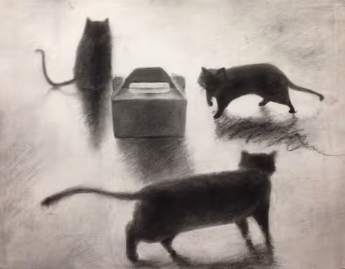 Item #114353231677114469216050027678361696333648012560720851407738452600096586465281 Media