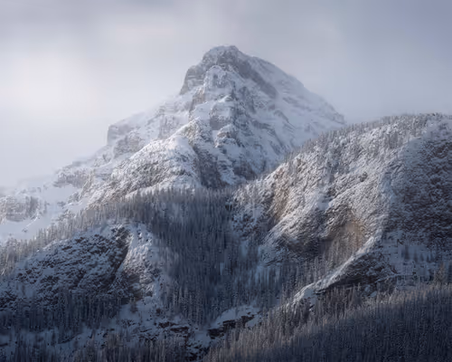 Item #112241139933589088795661151874445265147488650533013612432304602886937128206337 Media