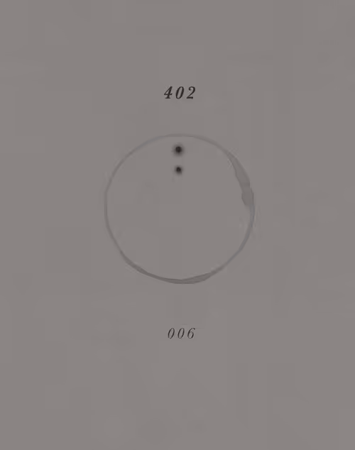 Item #110683211875433478720607093803783376166773559488403467374692104353816927797249 Media