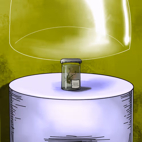 Item #24676067168319247841047234120788951702981957427274227053484940230942873616385 Media