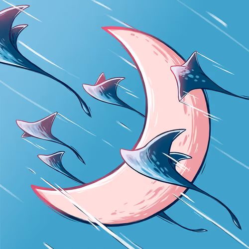 Item #96559721843590595720612299710916303369233949324341996140867480126044281765889 Media