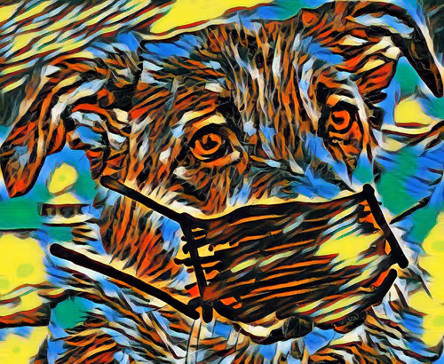 Item #22623297383426892917101335270761698949847758593200202890070986117033897230337 Media