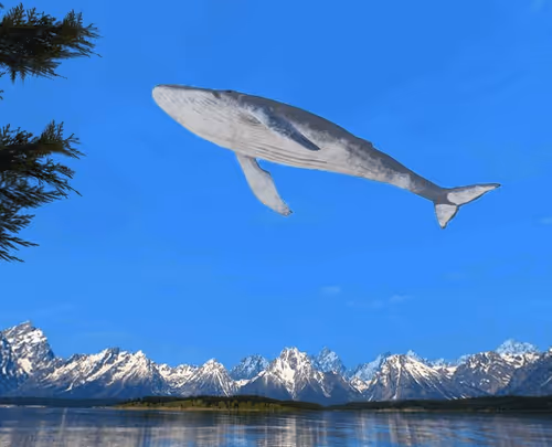 Item #35658392662214642312226296742360412302091329564359364454305730549762794455140 Media