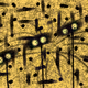 28568456862805334277511796815768873918766137884150694401289701167622741032961